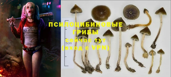 Альфа ПВП Алзамай