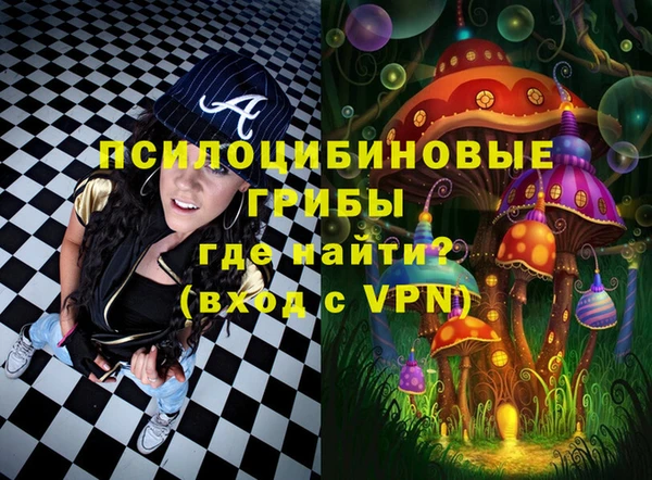 Альфа ПВП Алзамай