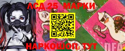 молекула духа Донецк
