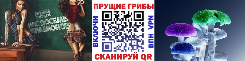 Галлюциногенные грибы Magic Shrooms  купить   Магадан 