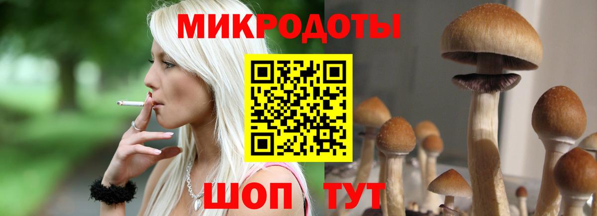 Магадан  Галлюциногенные грибы мухоморы  Псилоцибиновые грибы прущие грибы  Вход с VPN 